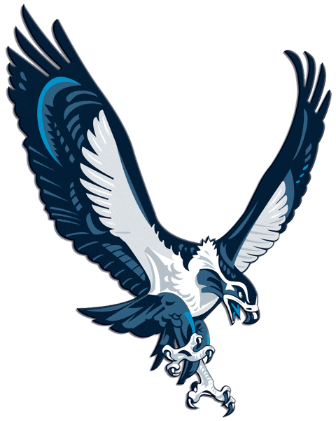 Seattle Seahawks 2002-2011 Alternate Logo fabric transfer
